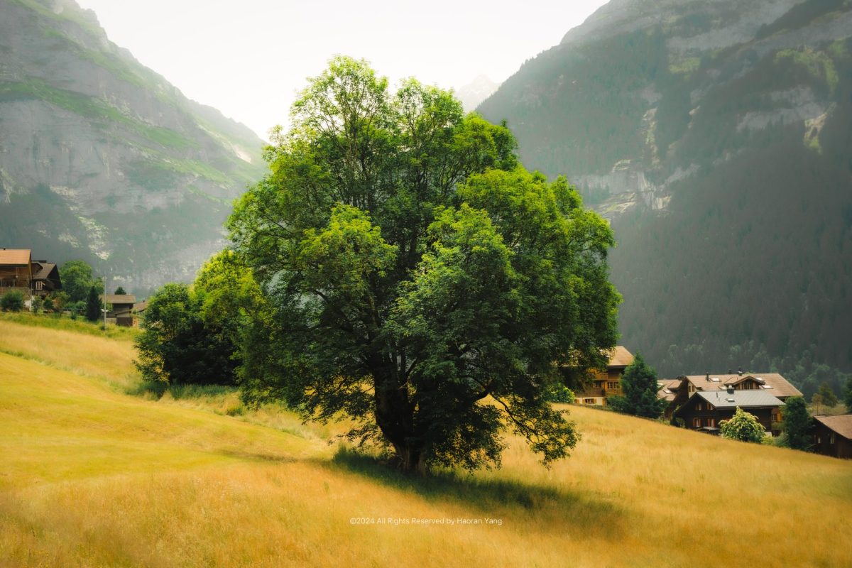 Photo_35 mm_Sony_FE 35mm F1.8_ILCE-7M4_20230620_7